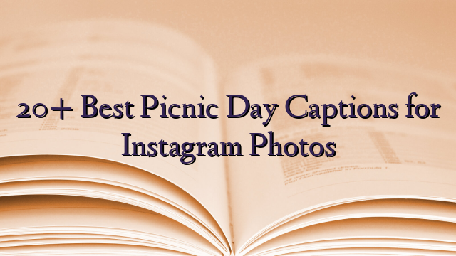 20+ Best Picnic Day Captions for Instagram Photos