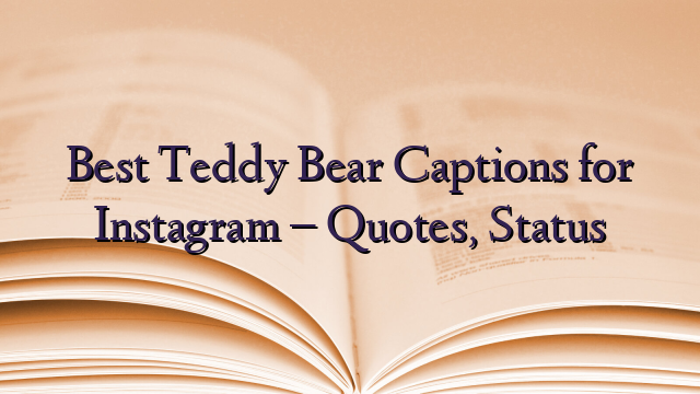 Best Teddy Bear Captions for Instagram – Quotes, Status